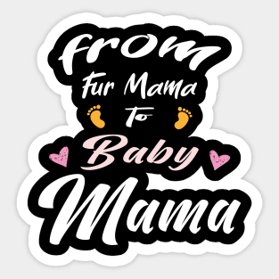 from Fur Mama to Baby Mama Sticker